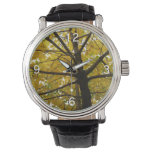 Pair of Yellow Maple Trees Autumn Nature Watch