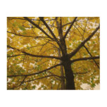 Pair of Yellow Maple Trees Autumn Nature Wood Wall Decor