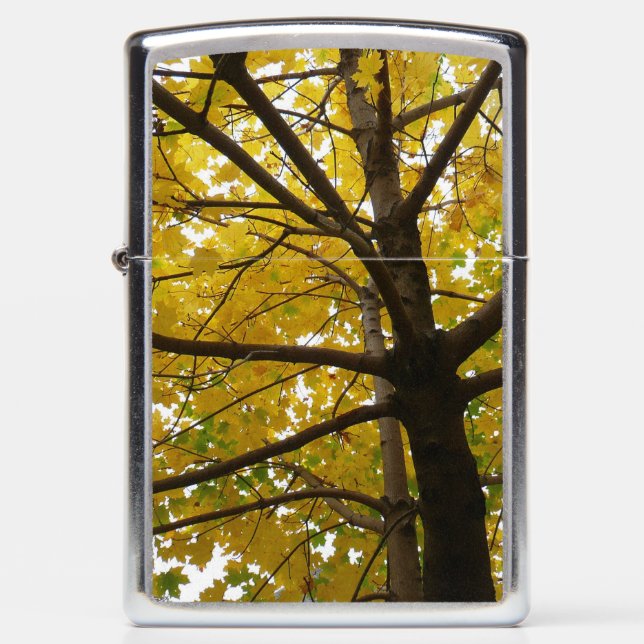 Pair of Yellow Maple Trees Autumn Nature Zippo Lighter (Front)