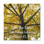 Pair of Yellow Maple Trees Autumn Save the Date