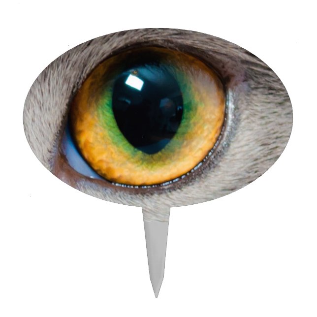 Pairs of Eyes Gray Cat Green and Gold Left Eye Cake Topper (Front)