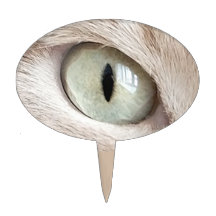 Pairs of Eyes Pale Cat Light Green Right Eye