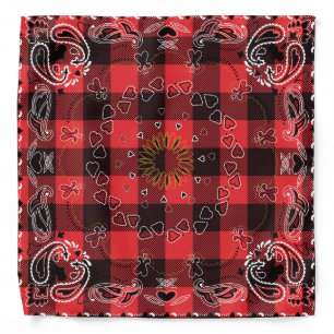 Paisley and Plaid Bandana