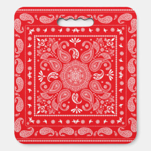 Paisley Design-1 Stadium Seat Cushion