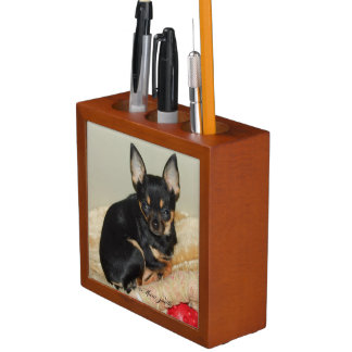 Paisley Desk Organizer