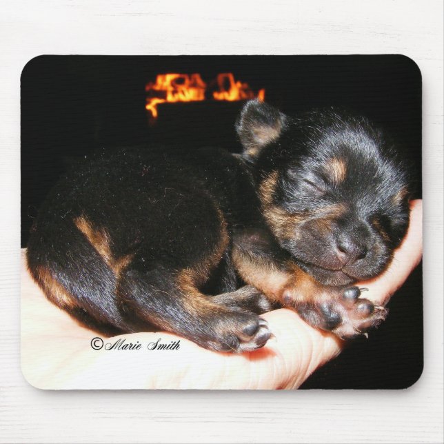 Paisley Marie 1 Mouse Pad (Front)