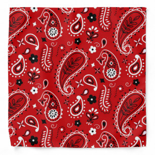 Paisley Pattern Bandana