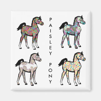 Paisley Pony Magnets