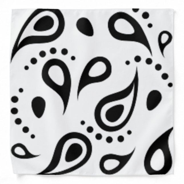 PAISLEY PRINT BANDANA (Front)