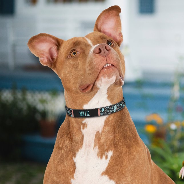 Paisley Teal Blue Black Dog Collar (Creator Uploaded)