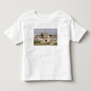Pakistan, Dina. Talaqi Gate as seen from the Toddler T-shirt