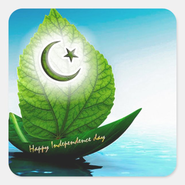 pakistan flag art.jpg square sticker (Front)