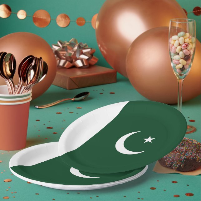 Pakistan flag paper plates (Multi)