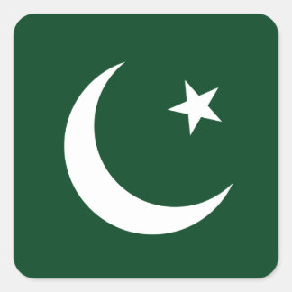 Pakistan/Pakistani Flag Square Sticker