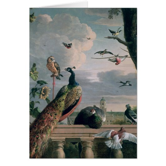 Palace of Amsterdam with Exotic Birds Cards (Front)