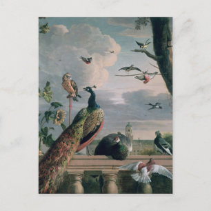 Palace of Amsterdam with Exotic Birds Postcard