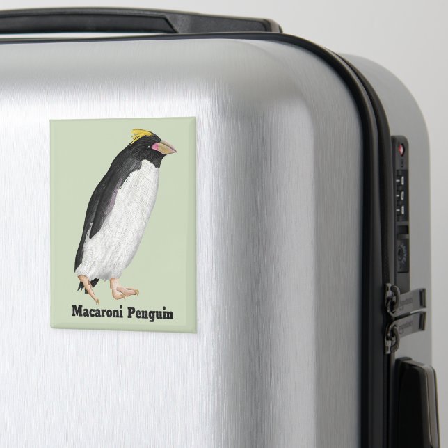 Palaeeudyptes Extinct Penguin Magnet | Zazzle