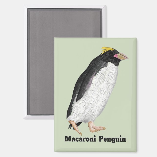 Palaeeudyptes Extinct Penguin Magnet | Zazzle