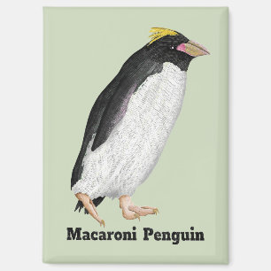 Palaeeudyptes Extinct Penguin Magnet