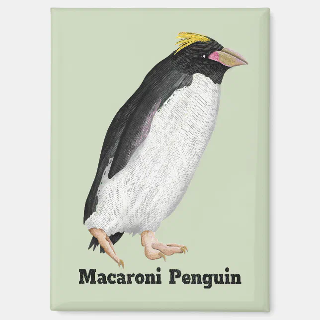 Palaeeudyptes Extinct Penguin Magnet | Zazzle