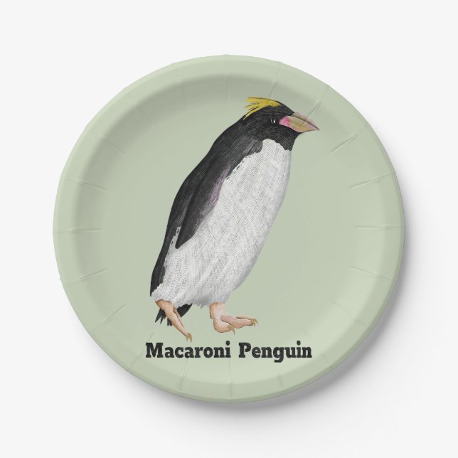 Palaeeudyptes Extinct Penguin Paper Plates (Front)
