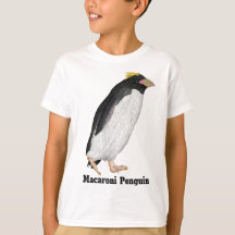 Palaeeudyptes Extinct Penguin