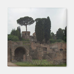 Palatine Hill in Rome, Italy Magnet