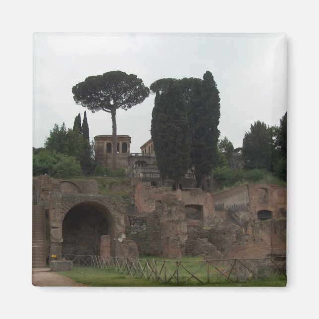 Palatine Hill in Rome, Italy Magnet (Front)