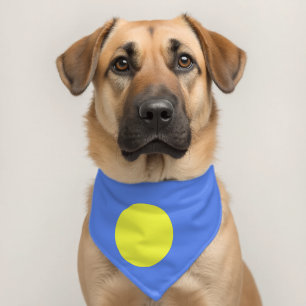 Palau flag pet bandana collar
