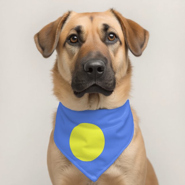 Palau flag pet bandana collar (Dog 2)