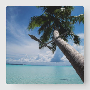 Palau, Micronesia, Palm tree at Palau Lagoon Square Wall Clock