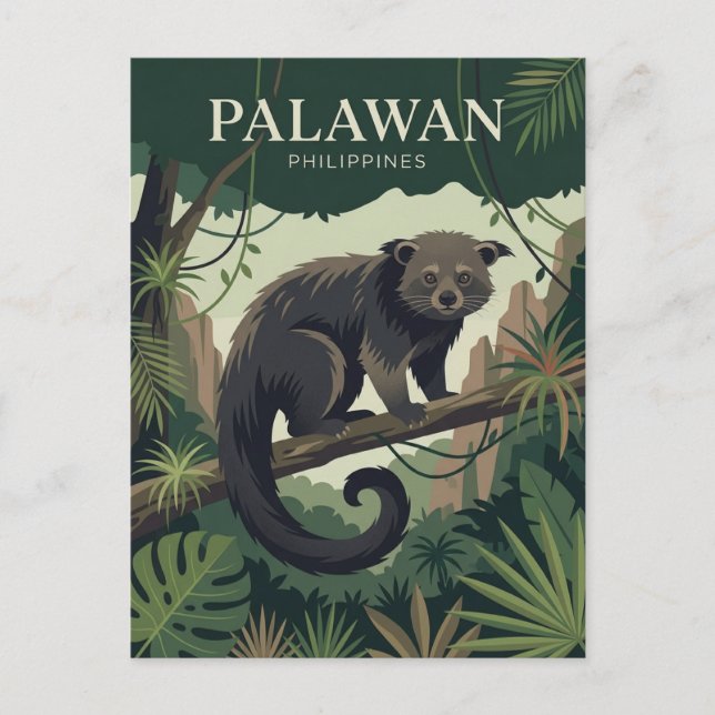 Palawan Philippines Postcard (Front)