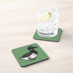 Pale-bellied Brant Goose Beverage Coaster