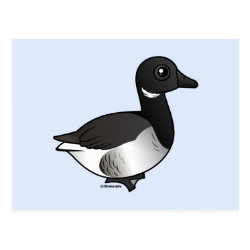 Pale-bellied Brant Goose Postcard