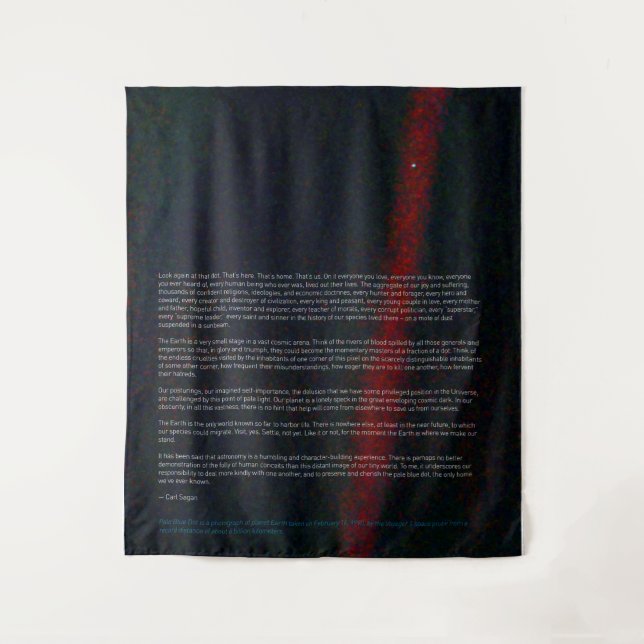Pale Blue Dot - Voyager 1 Tapestry (Front)