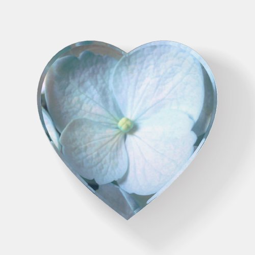 Pale Blue Hydrangea Paperweight