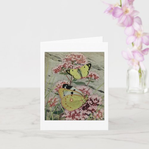 Pale Clouded Yellow Butterfly Card