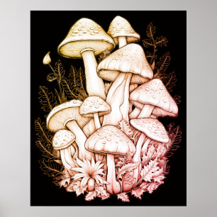 Pale Fat Mushrooms on Black Background on a Wall Poster