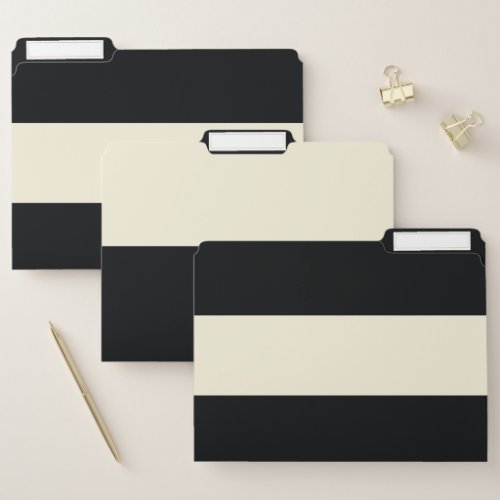 Pale Gold and Black Simple Extra Wide Stripes File Folder