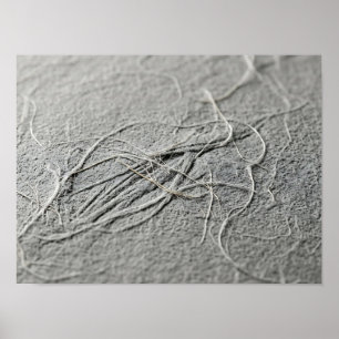 Pale Gray Tangled Fiber Paper Texture Poster