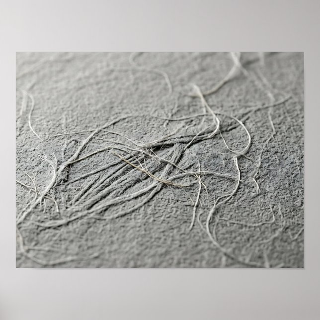 Pale Gray Tangled Fiber Paper Texture Poster (Front)