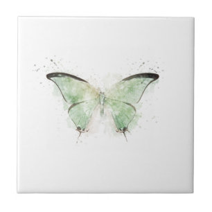 Pale Green and Black Butterfly Ceramic Tile