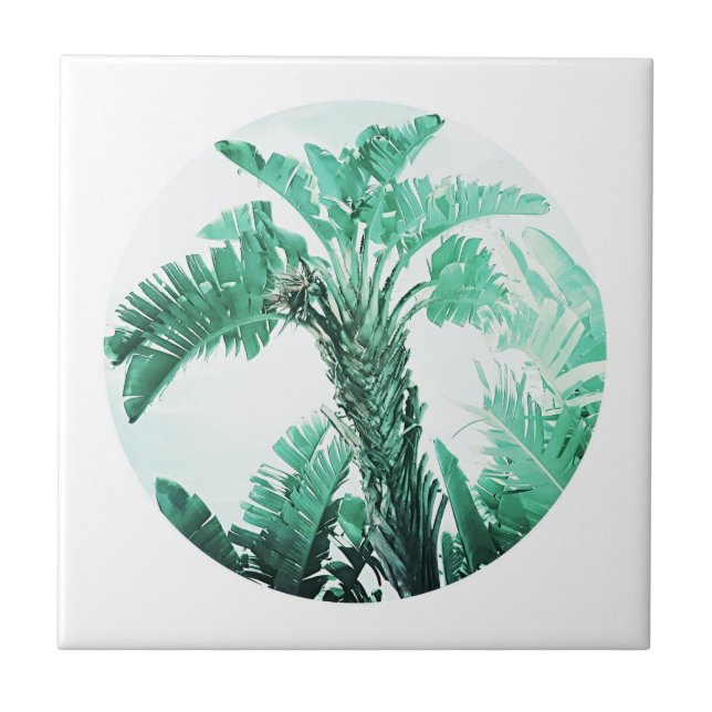 Pale Green Banana Tree Palm Leaves Ceramic Tile (Front)