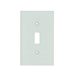 Pale Green-Blue Solid Color - 2022 Colour - Hue Light Switch Cover