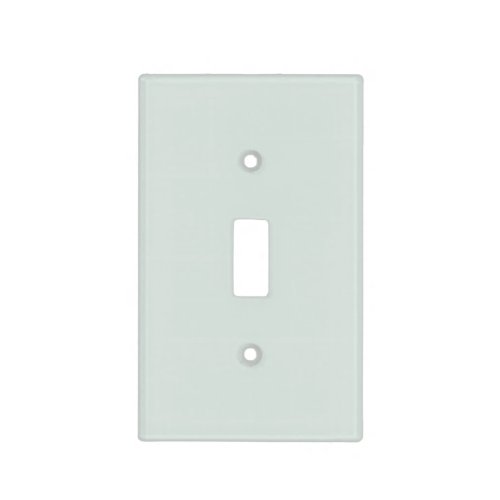 Pale Green_Blue Solid Color _ 2022 Colour _ Hue Light Switch Cover