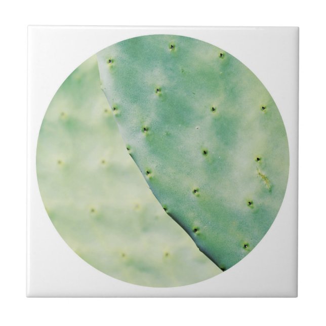 Pale Green Cactus Fig Organic Feel Ceramic Tile (Front)