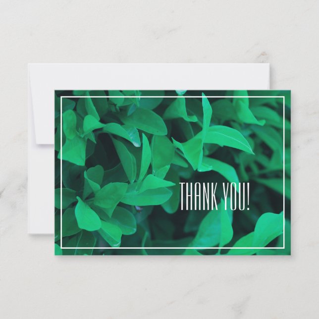 Pale Green Leaf Plant Thank You Flat Card (Front)