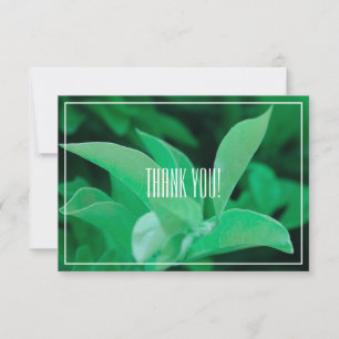 Pale Green Leaf Plant Thank You Flat Card