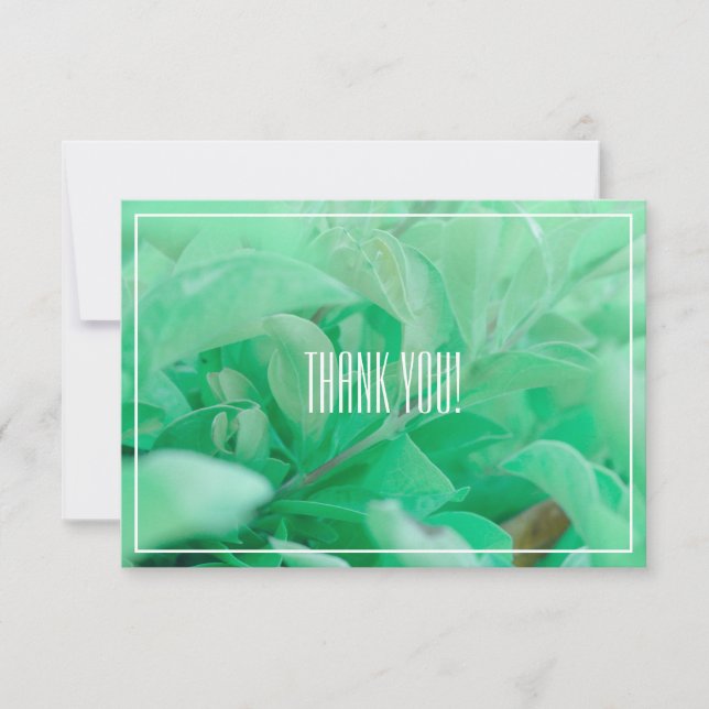 Pale Green Leaf Plant Thank You Flat Card (Front)