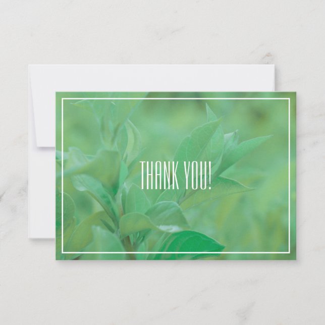 Pale Green Leaf Plant Thank You Flat Card (Front)